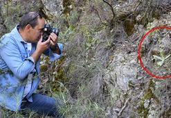 Dünyada sadece Antalya'da: Sökmenin cezası 1 milyon TL