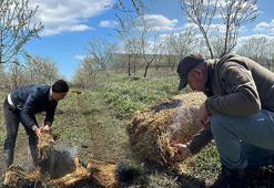 Bir köy gece boyunca nöbet tuttu! ‘Tek çözüm yolu bu’