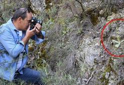 Dünyada sadece Antalya'da: Sökmenin cezası 1 milyon TL