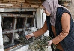 2 yıl önce şehirden köye yerleşip çiftlik kurdu: 'Devletin çok büyük desteği var'