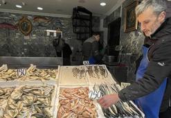 Hamsinin yerini mezgit ve istavrit aldı