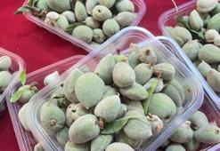 Badem çağlası, kilosu 600 liradan satılıyor