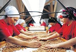 300 milyon euro’luk tarım desteği yolda