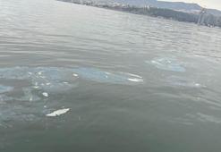 İzmir Körfezi'nde denizi kirleten firmaya 8,3 milyon lira ceza