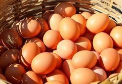 YUM-BİR'den yumurta fiyatlarıyla ilgili açıklama