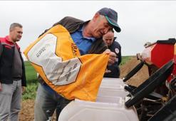 Ayçiçeği tohumları toprakla buluşmaya başladı