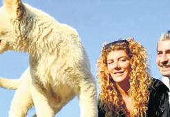 ‘Vahşi doğada olmak zevkli’