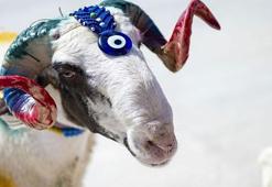 KURBAN BAYRAMI TARİHİ 2025 || Kurban Bayramı ne zaman? Kurban Bayramı tatili kaç gün?