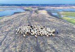 Kuraklık fırtınası! Barajlar dolsa da tehlike bitmiyor...