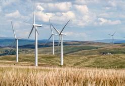 Yenilenebilir enerji kapasitesi 2024'te yüzde 14 arttı