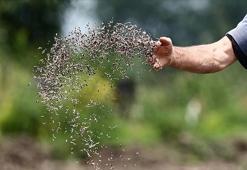 Türkiye tohum sektöründe küresel oyuncu haline geldi