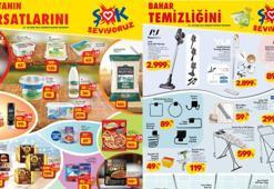 ŞOK AKTÜEL 2 NİSAN 2025 İNDİRİM KATALOĞU: Bu hafta Çarşamba ŞOK katalog indirimleri çıktı! Terlik, süpürge, klima, mop...