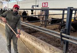 Devletten aldığı destekle besi çiftliği kurdu