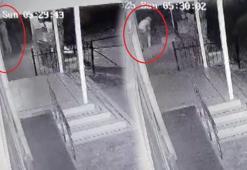 Şoke eden hırsızlık! Atatürk büstünü çaldılar