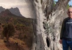 Gözleri gibi bakıyorlar, bölgede tek: 900 yıllık bir geçmişi var