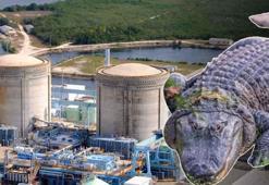 Turkey Point'te yüzlerce timsah! Dünyaya örnek: Neden nükleer santrali seçtiler?