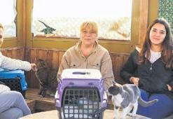 Buca’nın sessiz sakinlerine yardım eli