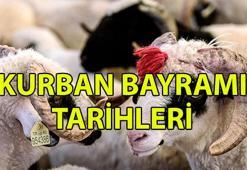 KURBAN BAYRAMI NE ZAMAN 2025?📌 Bayram tatili kaç gün ve 9 gün olacak mı? Kurban Bayramı tatili hangi ay?