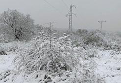 Kış geri geldi: Edirne'de kar yağışı