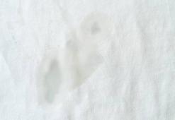 Kıyafetinize yağ mı döküldü? Çıkmayan yağ lekesine son veren yöntem