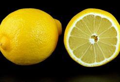 Bakan Bolat açıkladı: Limon ihracatındaki kısıtlama kaldırıldı