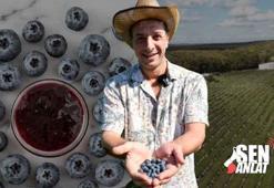 Kanserli babasına çareyi toprakta buldu! 11 ayda şaşırtan 'mavi' etki