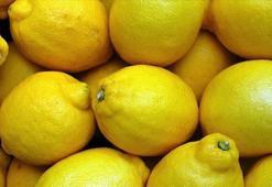 Irak, Türk limonuna talepte Rusya'yı geride bıraktı
