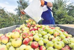 ‘Krize rağmen hedefi aştık’