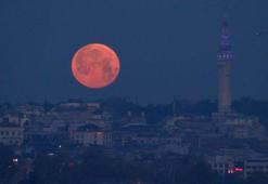 İstanbul'da baharın habercisi: Pembe Ay