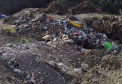 Urla'da çevre kirliliği! Belediye ve bir özel firmaya ceza