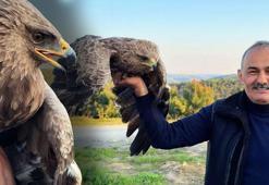 İstanbul'da şaşırtan keşif! Ot toplamaya giden vatandaş kartal buldu