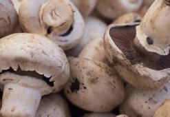 Mantarlarınız tertemiz ve bembeyaz olacak! Bu yöntemle soymaya bile gerek kalmıyor