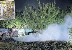 Tarlada bahçede üçlü zarar var