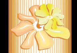 Çimen’in dünyası Dubai’ye uzanıyor