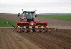 Ayçiçeğinde farklı ekim yöntemleri test edildi