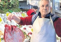 Sezon şampiyonu palamut ve lüfer