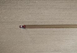 Tarım ÜFE martta arttı