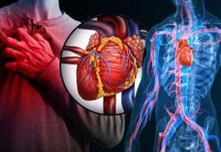 Sırrı Süreyya Önder'in yaşadığı aort yırtılması nedir? Aort damarı neden yırtılır?