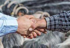 Kurban Bayramı 2025 tarihi ne zaman, arefe hangi gün? Yılın 2. dini bayramı Kurban Bayramı hangi ayda, hangi günler?