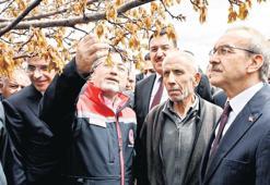 ‘Zirai dondan 34 il etkilendi’