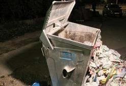 Denizli'de çöpte yeni doğmuş cansız bir bebek bulundu