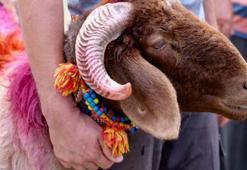 1.2.3.4. günleri: Kurban Bayramı 2025 tarihleri bu sene hangi ayda, hangi günler? Kurban Bayramı kaç gün, bayram tatili ne kadar olur?