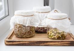 Sindirim problemlerini azaltıyor! Evde tohum filizlendirme işlemi nasıl yapılır?