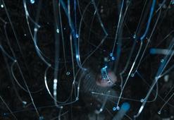 Küresel yapay zeka pazarının 1,81 trilyon dolara ulaşması bekleniyor