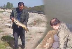 Oltasına takılanı görünce şaşkına döndü! Hemen suya geri attı