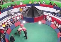 Horoz dövüşüne silahlı saldırı: 12 ölü