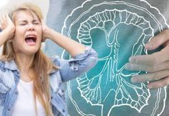 Alışkanlıklarla bağırsakları düzenlemek mümkün! Stres mikrobiyal dengesizlik yapıyor