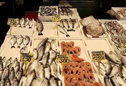 Trabzon'da mezgit ve istavrit kilogramı 250 liradan satılıyor