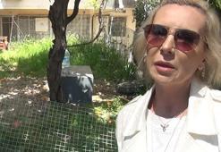 Apartman bahçesinde vahşet! 8'i kesici aletle öldürüldü