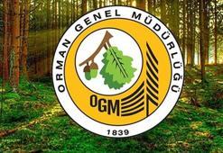 OGM işçi alımı sonuçları ne zaman açıklanacak? Orman Genel Müdürlüğü 3477 personel alımı sonuçları açıklandı mı?